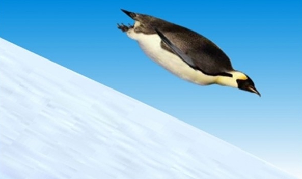 Папуанский пінгвін